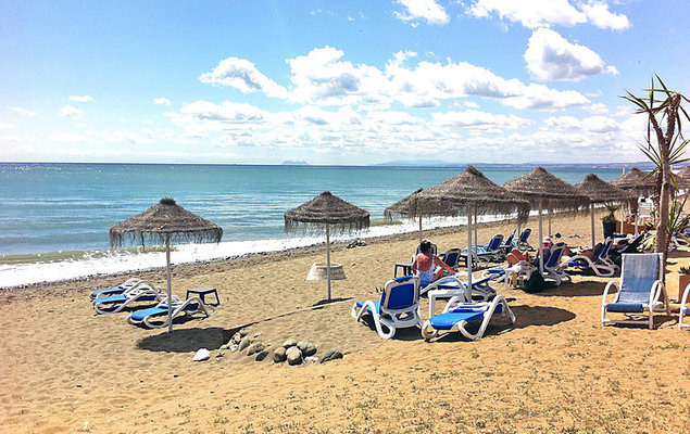 El Presidente - Photo 3