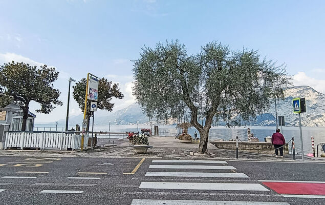 Consolini - Photo 35