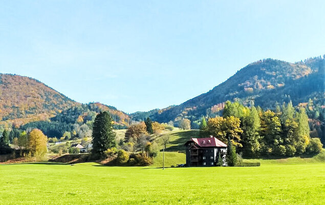 Spatzennest / Top 7 - Photo 15