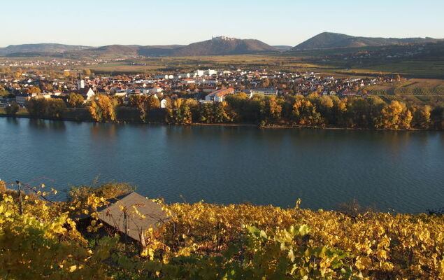 Haus Fries - Photo 32