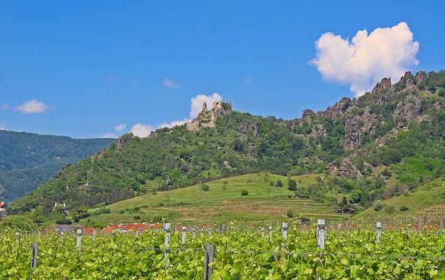 Haus Fries - Photo 35