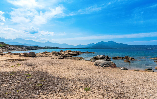 Giulia II - Photo 32