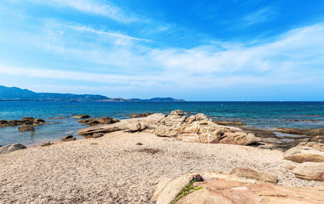 Giulia II - Photo 33