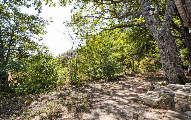 Le Bois d'Amour - Photo 26