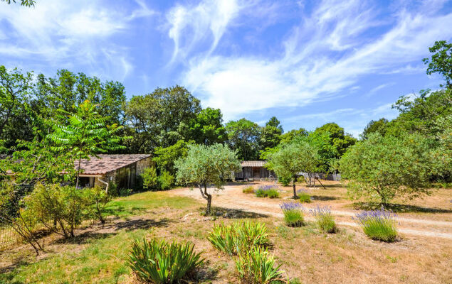 Le Bois d'Amour - Photo 33