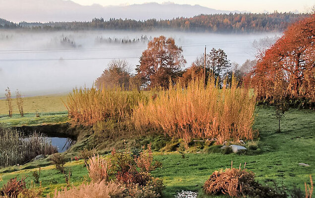 Carinthia - Photo 21