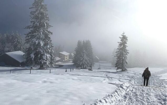 Runnimoos - Photo 23