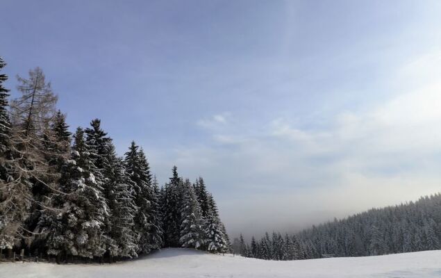 Schönhart - Photo 18