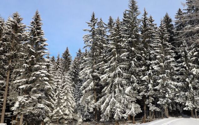 Schönhart - Photo 19