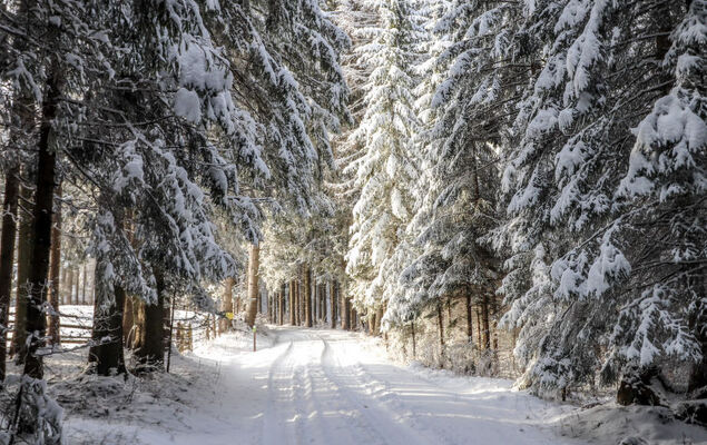 Schönhart - Photo 20