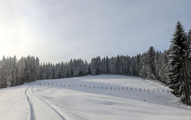 Schönhart - Photo 21