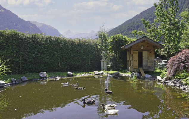 Helmreich - Photo 21